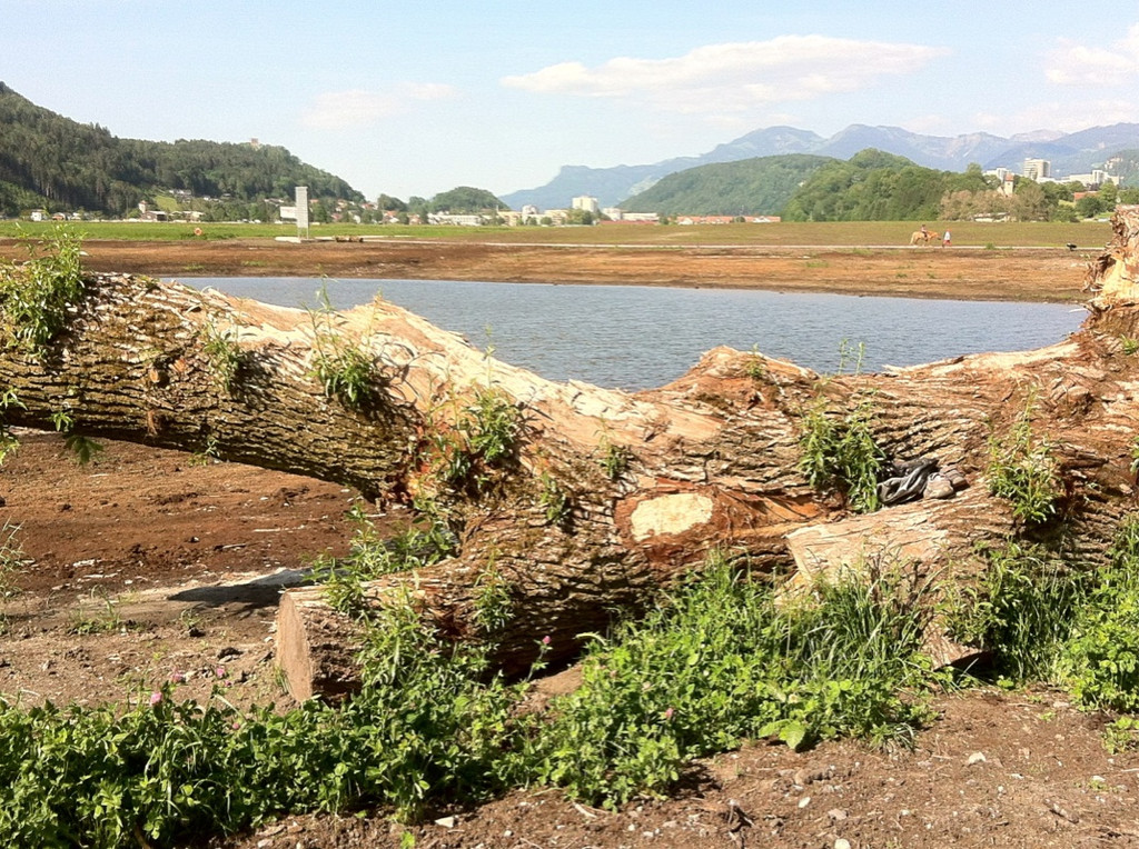 KOE_Naturjuwel Egelsee 7_jpg-1338064814