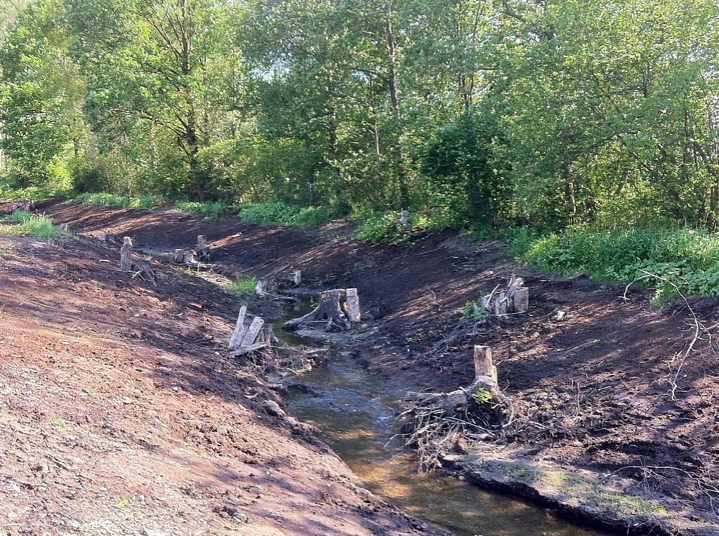 KOE_Naturjuwel Egelsee 8_jpg-1338064826