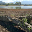 KOE_Naturjuwel Egelsee 11_jpg-1338064853