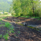 KOE_Naturjuwel Egelsee 14_jpg-1338064882