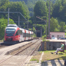 26052012lkwat01001aktivnews_11.jpg