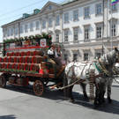 26052012festumzugdultat05007aktivnews_111.jpg