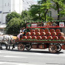 26052012festumzugdultat05007aktivnews_100.jpg