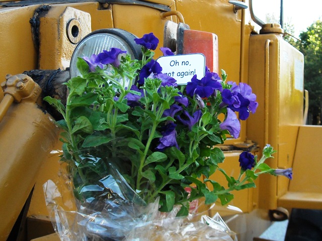 DSCN3005_JPG-1338109454