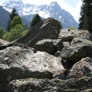 IMG_0519_JPG-1338138789