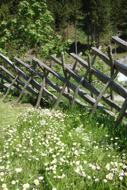 DSC04263_JPG-1338139027