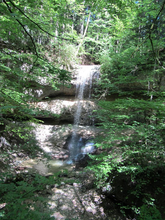 IMG_5271 _Large__jpg-1338147022
