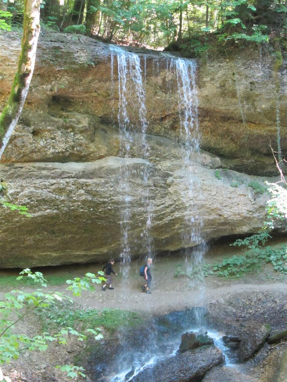 IMG_5273 _Large__jpg-1338147029