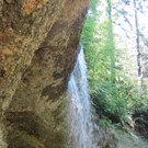 IMG_5281 _Large__jpg-1338147104