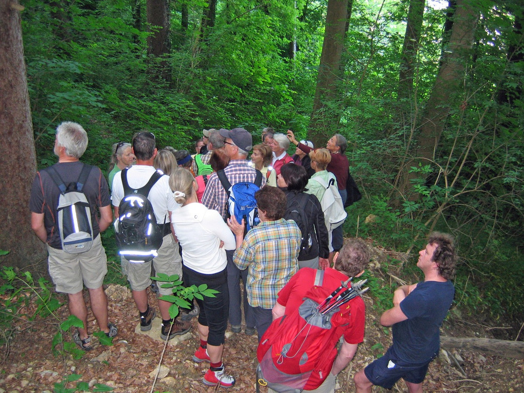 Umweltwoche Impressionen 2011 _9__jpg-1338149468