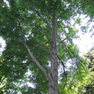 Umweltwoche Impressionen 2011 _5__jpg-1338149447