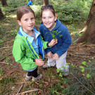 IMG_0877_JPG-1338168615