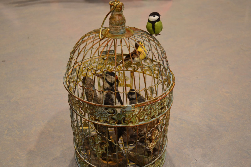 Zauberfl__te Vogelk__fig_jpg-1338179956