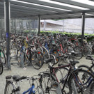 DSCN4763_JPG-1338184765