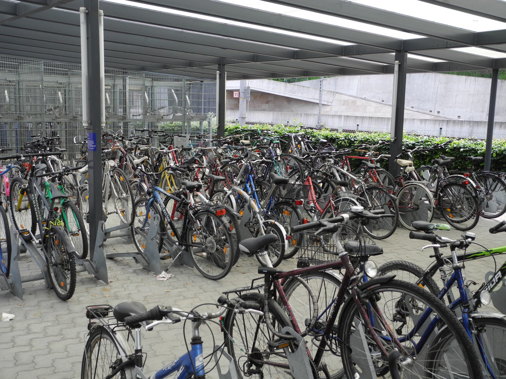 DSCN4763_JPG-1338184765