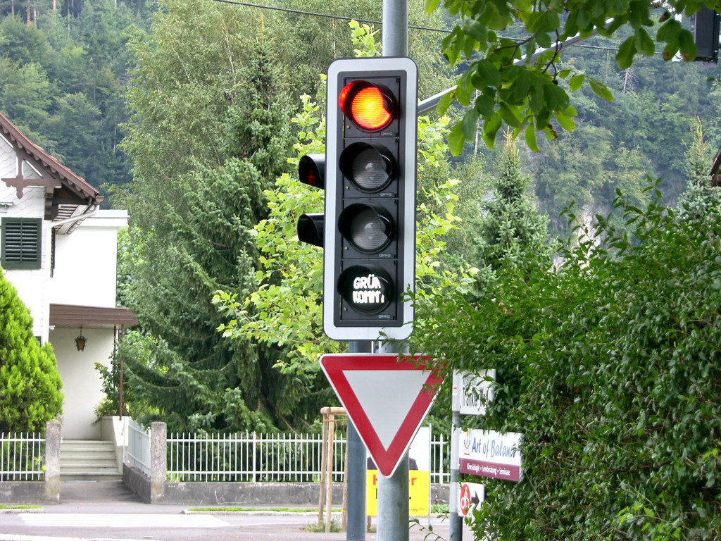 Gr__n kommt 1a_jpg-1338184922