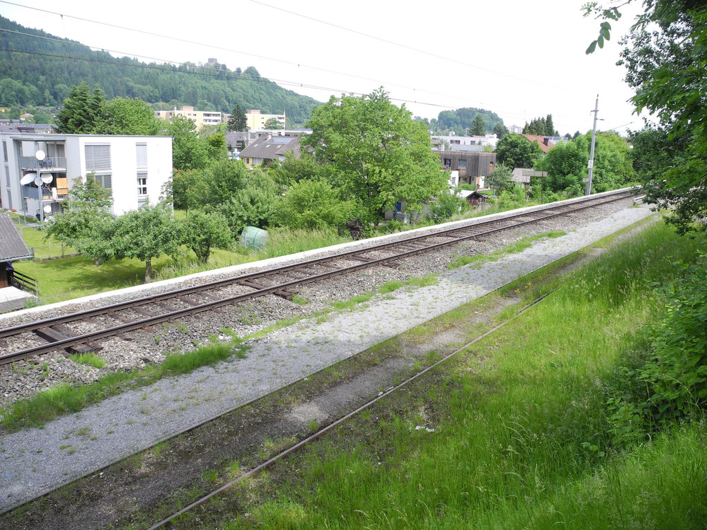 DSCN4766_JPG-1338185759