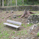 DSCN0248_JPG-1338189177