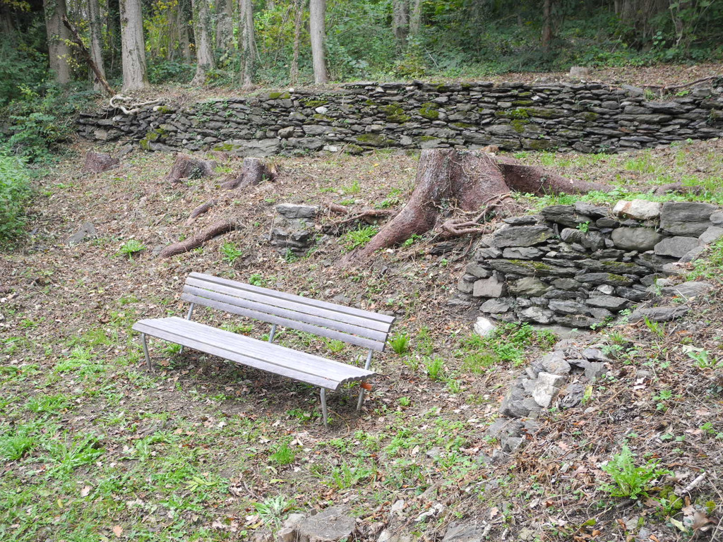 DSCN0248_JPG-1338189177