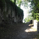 DSCN7511_JPG-1338189212