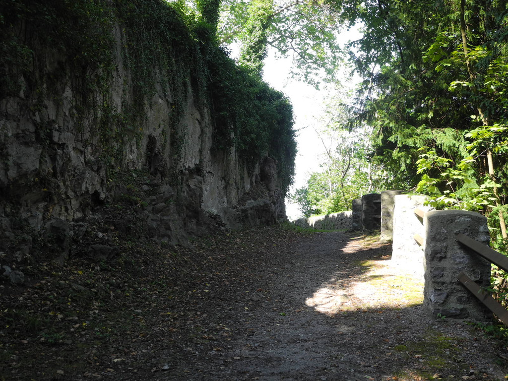 DSCN7511_JPG-1338189212