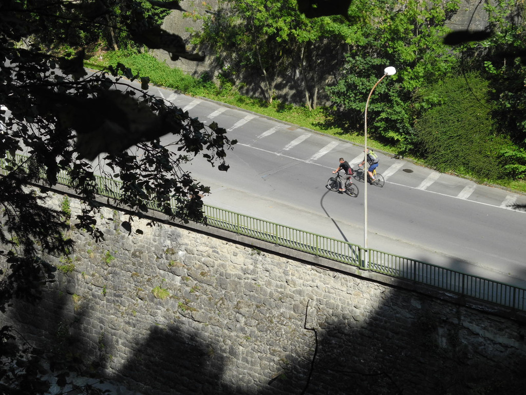 DSCN7512_JPG-1338189228