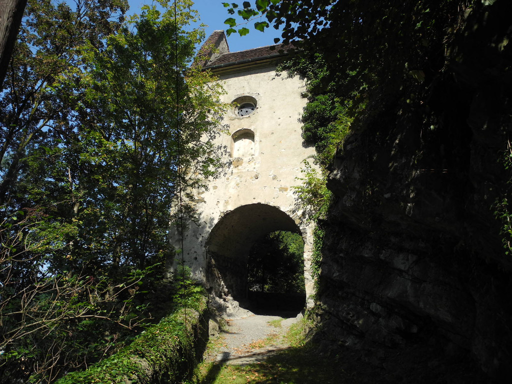 DSCN7524_JPG-1338189322