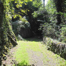 DSCN7526_JPG-1338189358