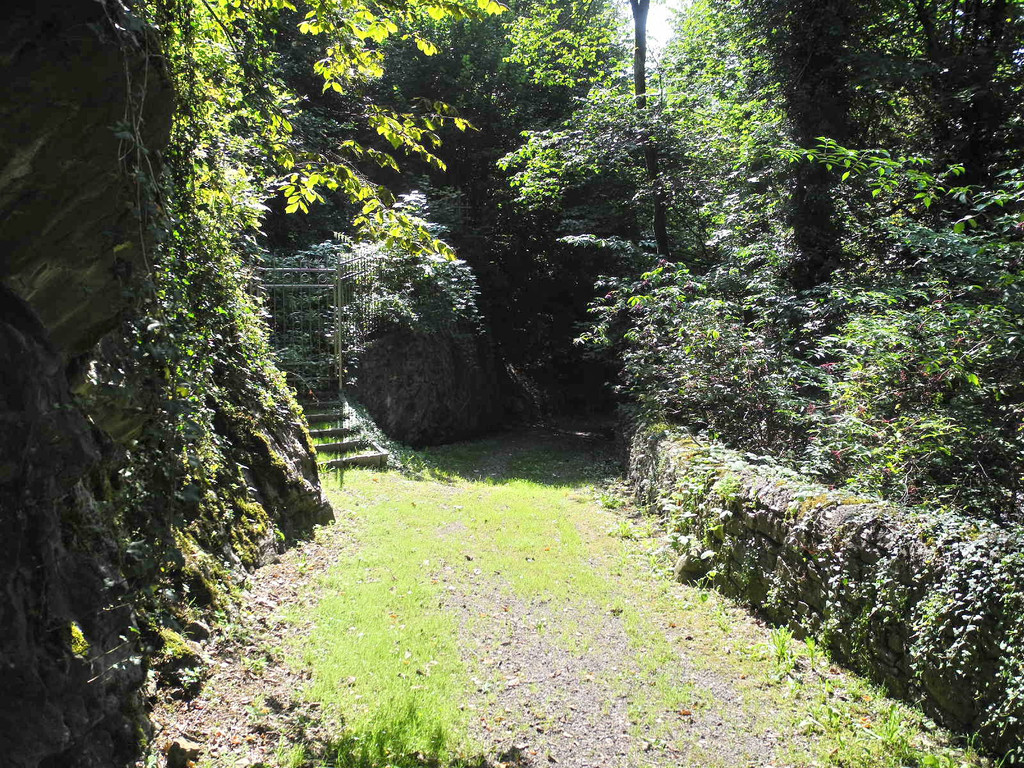 DSCN7526_JPG-1338189358