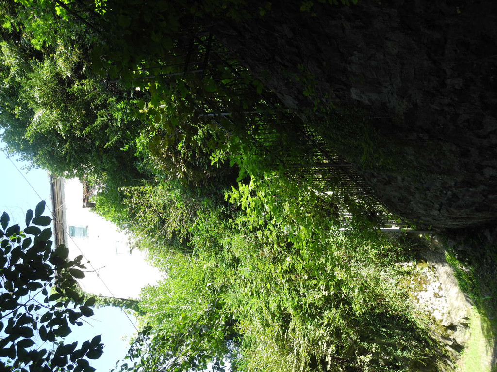 DSCN7529_JPG-1338189376