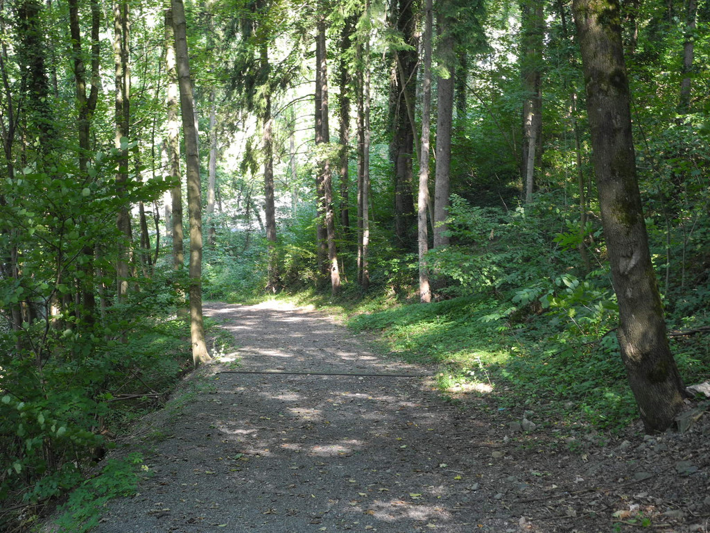 DSCN7530_JPG-1338189392