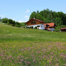 normal_27052012fmt_musitreffenkoppl_mw_08.JPG