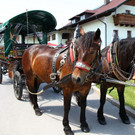 normal_27052012fmt_musitreffenkoppl_mw_28.JPG