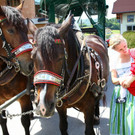 normal_27052012fmt_musitreffenkoppl_mw_29.JPG