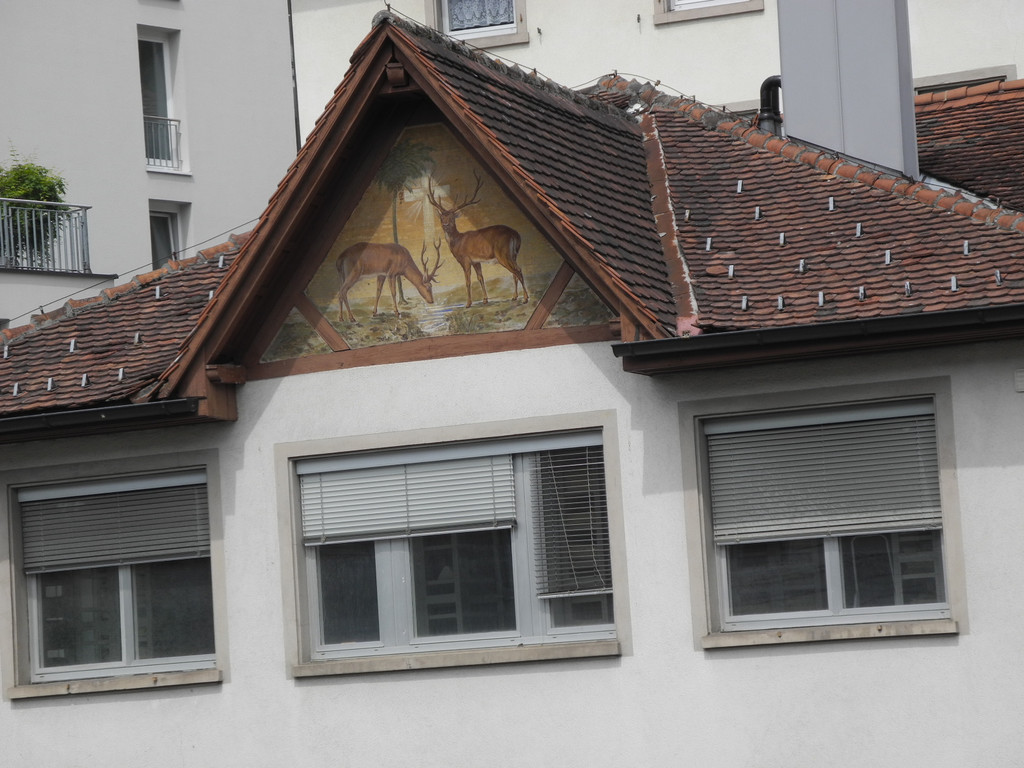 DSCN4772_JPG-1338198120