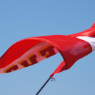 DSC02885_JPG-1338218059