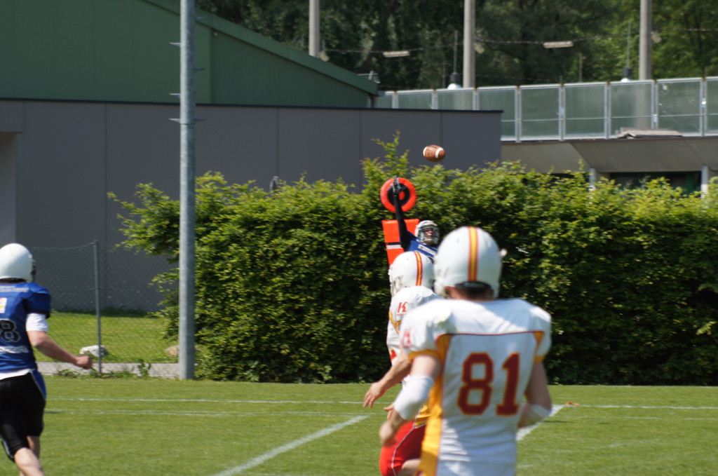 DSC02923_JPG-1338218274