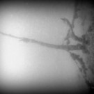 M0014103.JPG