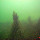 M0014106.JPG