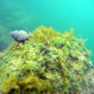 M0014142.JPG