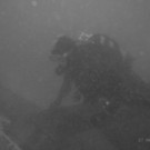 M0014113.JPG