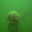 M0014121.JPG