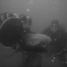 M0014125.JPG