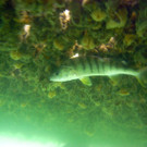 M0014131.JPG