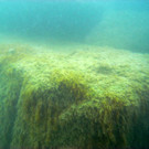 M0014141.JPG