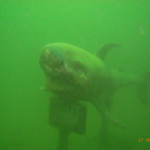 M0014119.JPG