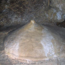c1232.jpg