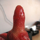 c1245.jpg