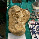 normal_28052012mineralientagehalleinat05007aktivnews_jpg_01.JPG