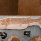 normal_28052012mineralientagehalleinat05007aktivnews_jpg_10.JPG
